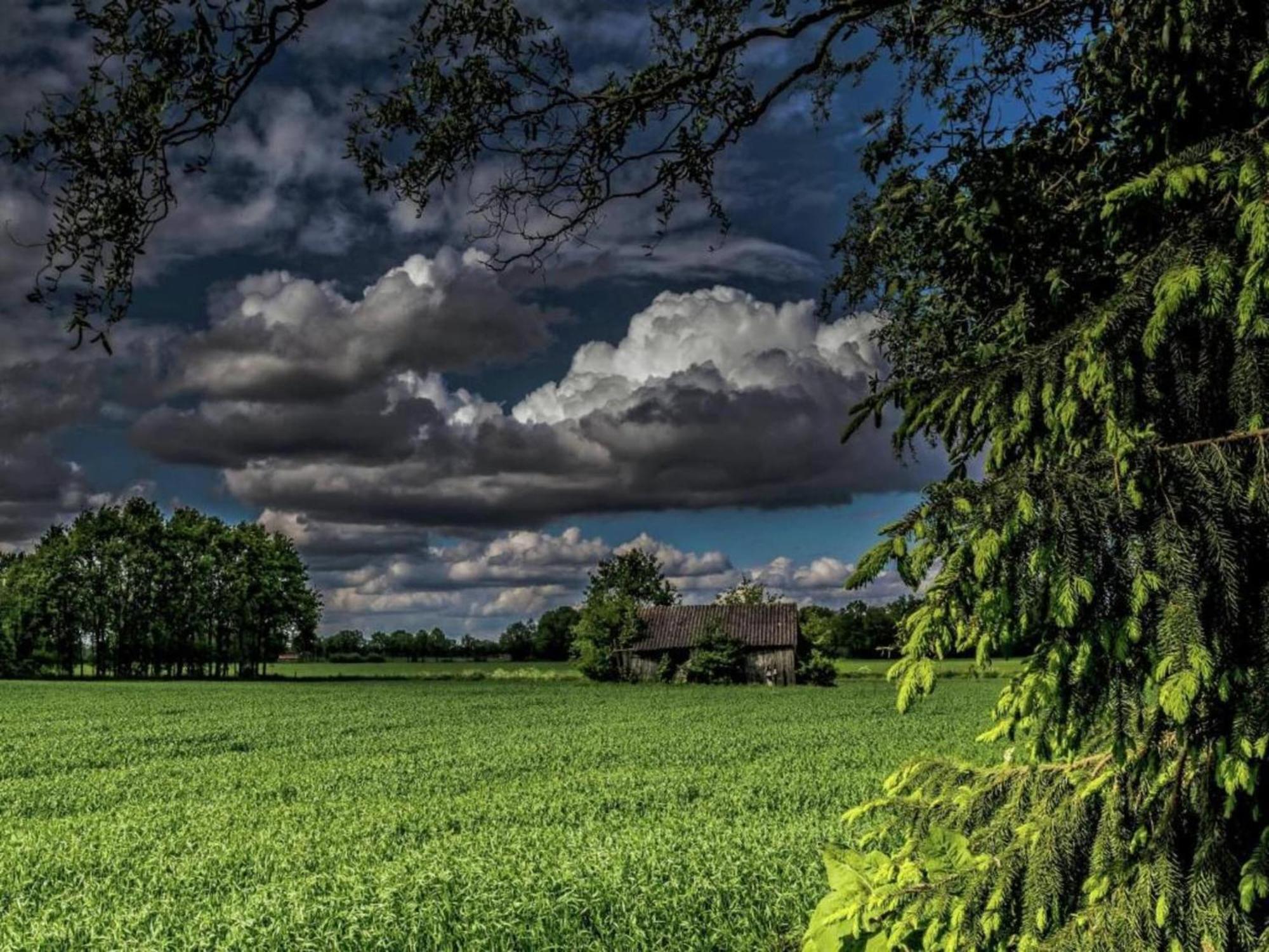 Staying In A Thatched Barn With Box Bed Beautiful View Region Achterhoek Geesteren  Екстер'єр фото